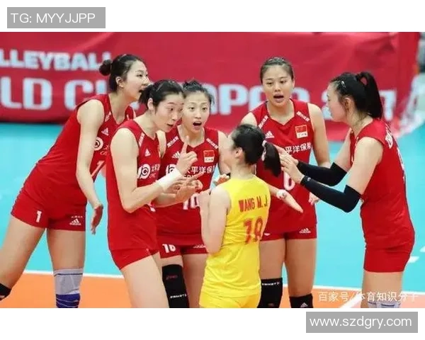 武汉排球队实力解析大满贯点评展现球队风采与潜力