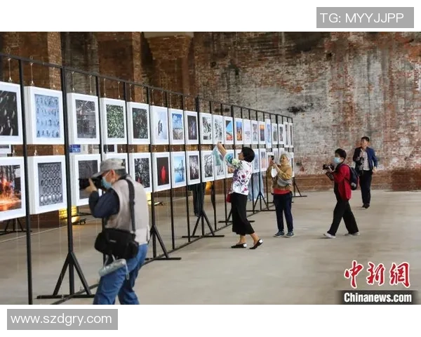 聚焦网球：南京网球队的力量话题